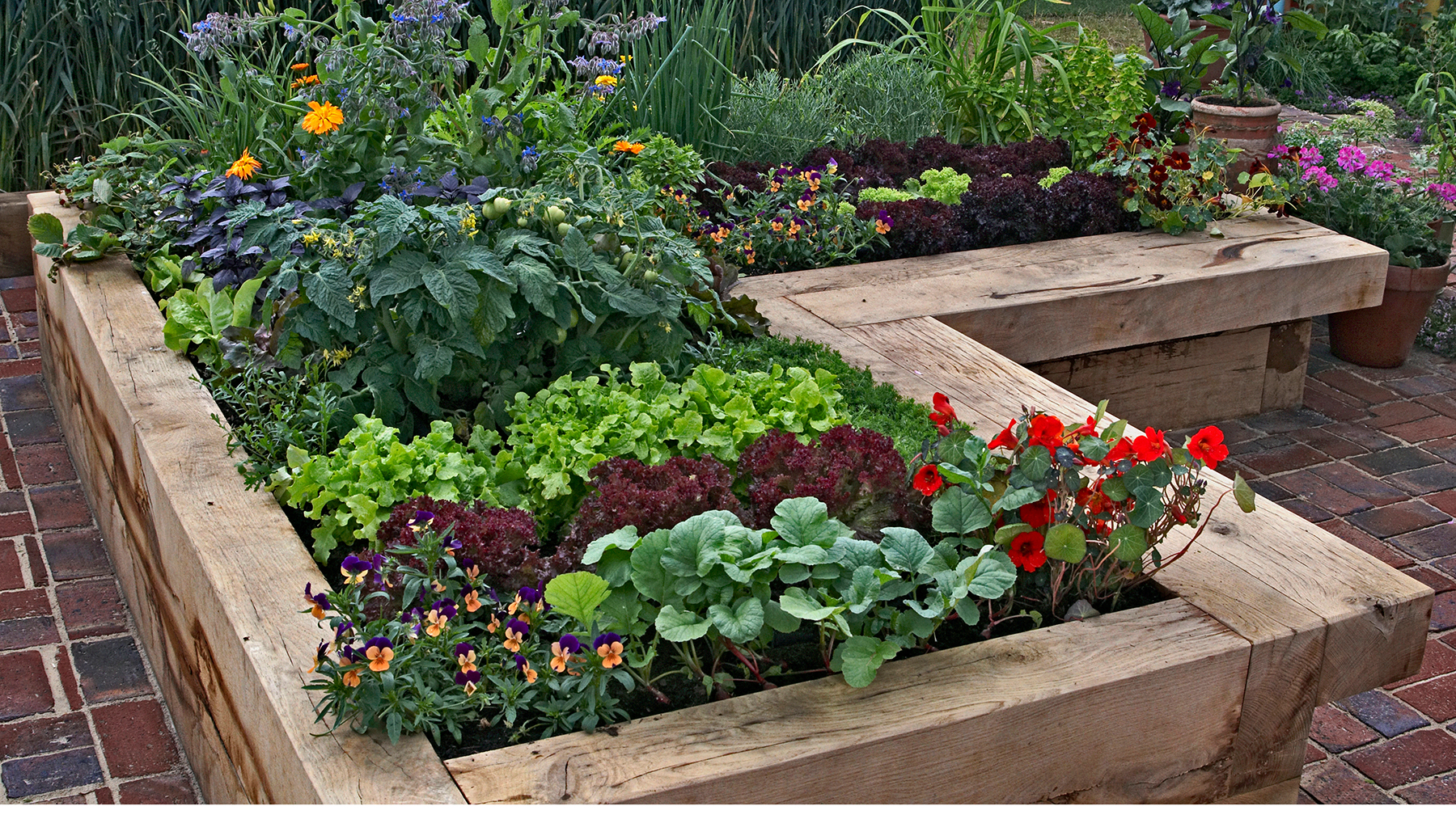 Railway sleeper raised beds planted with vegetables