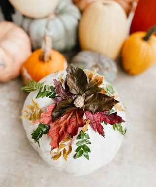 Easy no-carve pumpkin ideas with autumn leaves glued into a crown at the stem of the pumpkin