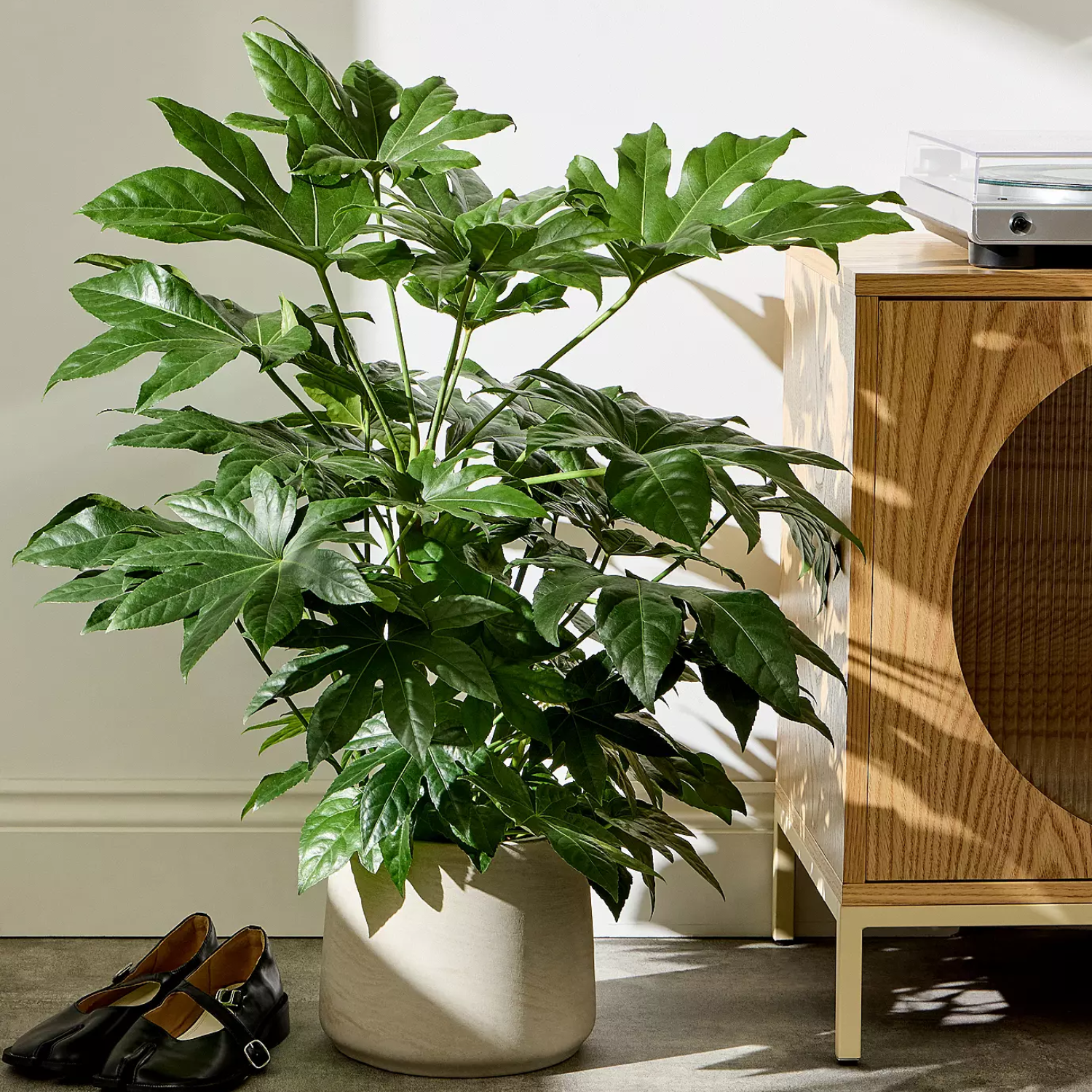A potted paper houseplant by a pair of mary janes and a wood sideboard