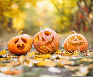 Jack O'Lantern carved pumpkins