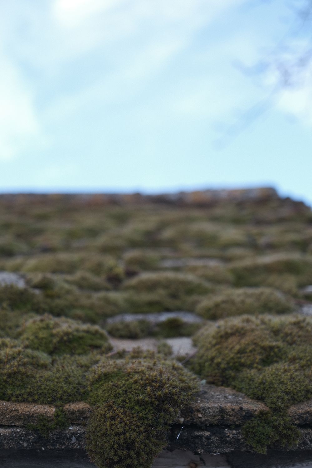 Fujifilm X-E4 review Image Samples