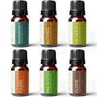 Winter Essential Oils Set | View at Amazon