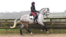 Beth Bainbridge riding Anna Ross&rsquo;s Habouche at home.