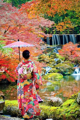 Kyoto Garden