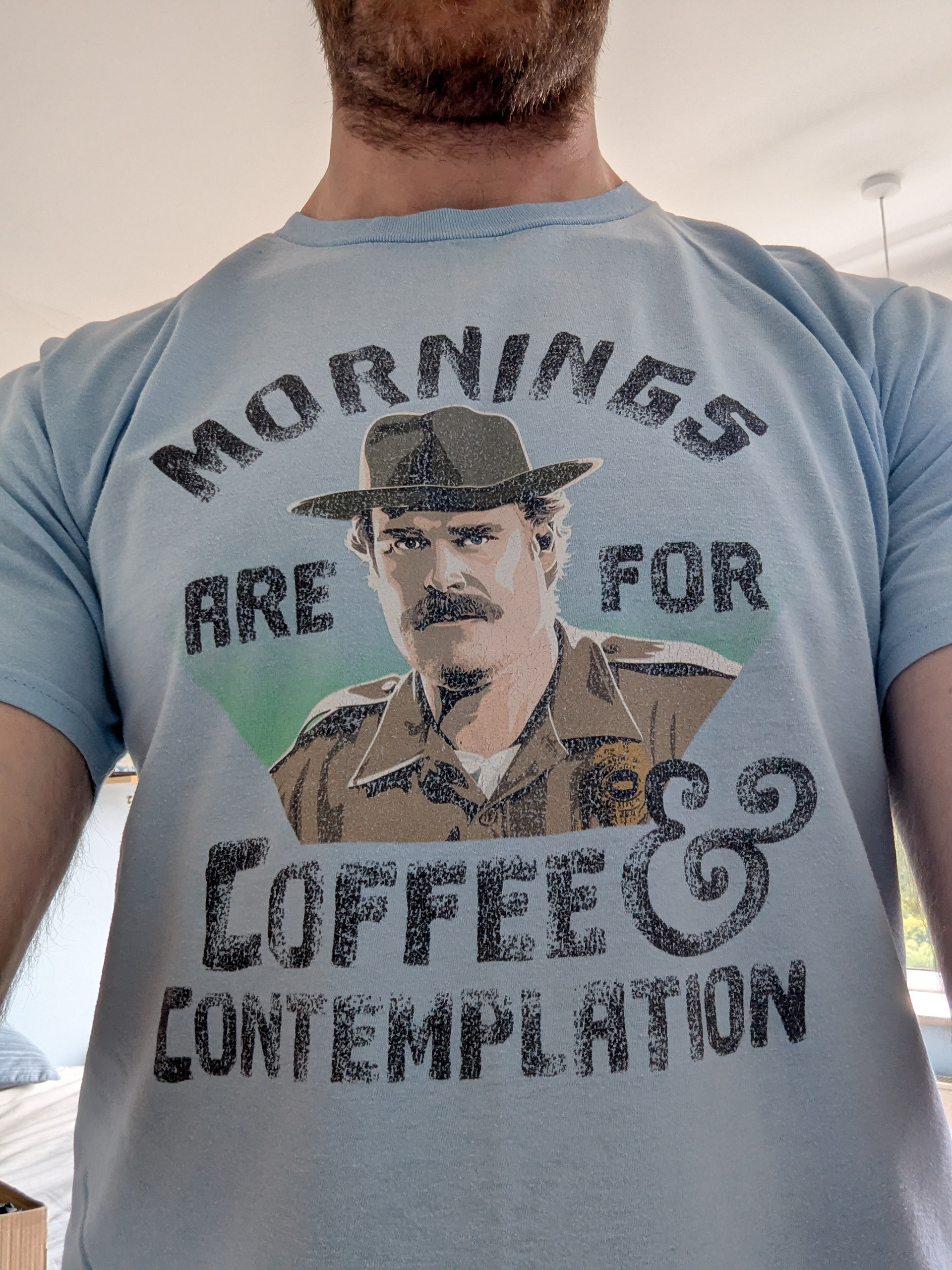 An image of a man wearing a pale blue Stranger Things t-shirt with a picture of Jim Hopper on it and black writing