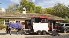 Ifor-Williams-Horse-Trailer.jpg