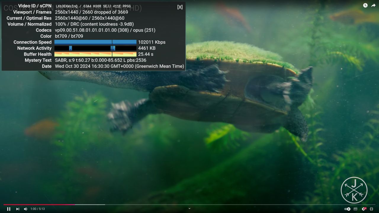 Raspberry Pi YouTube Performance
