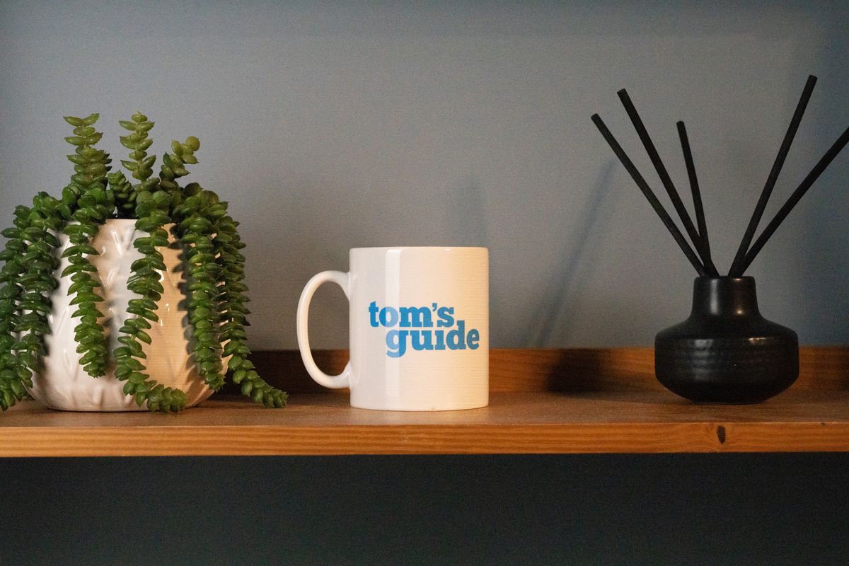 A photo of a Tom's Guide mug with a plant and scent diffuser on each side, demonstrating the ISO performance of the Sony A7CR