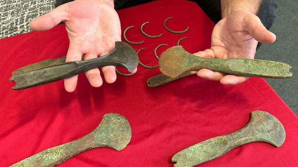 A person holds two Bronze Age ax handles over a table covered with a red cloth that holds additional bronze artifacts