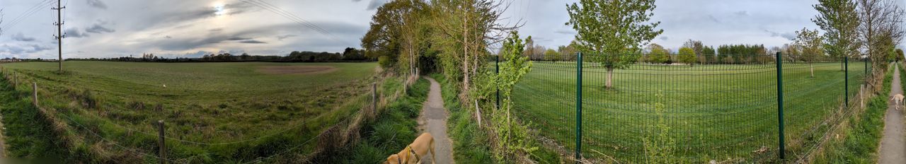 google pixel 9a vs google pixel 8a photo shootout - panorama pixel 8a
