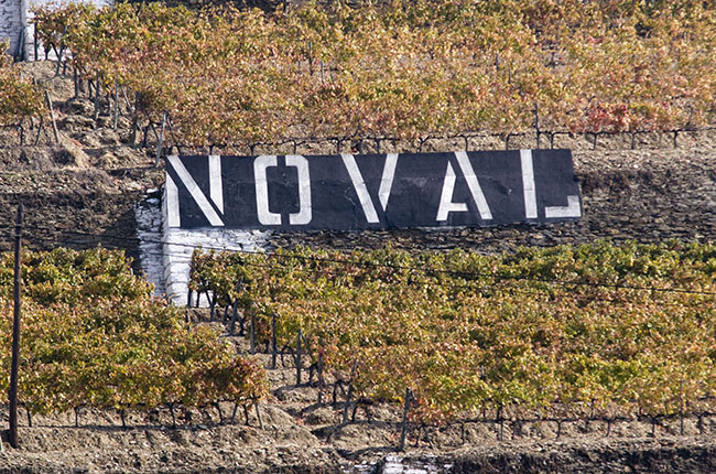Quinta do Noval vines.