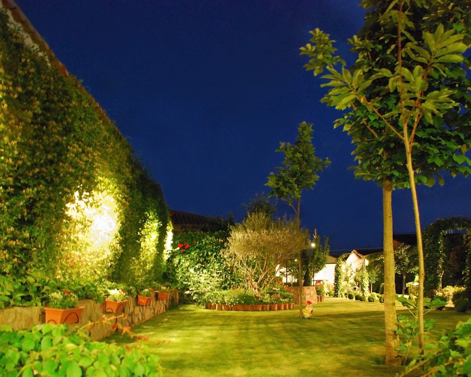 Garden at night in the rural village