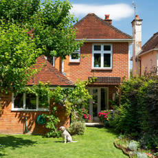 Sunny garden with full shrubs and trees in front of a red brick home. There is a labrador sitting on the lawn.