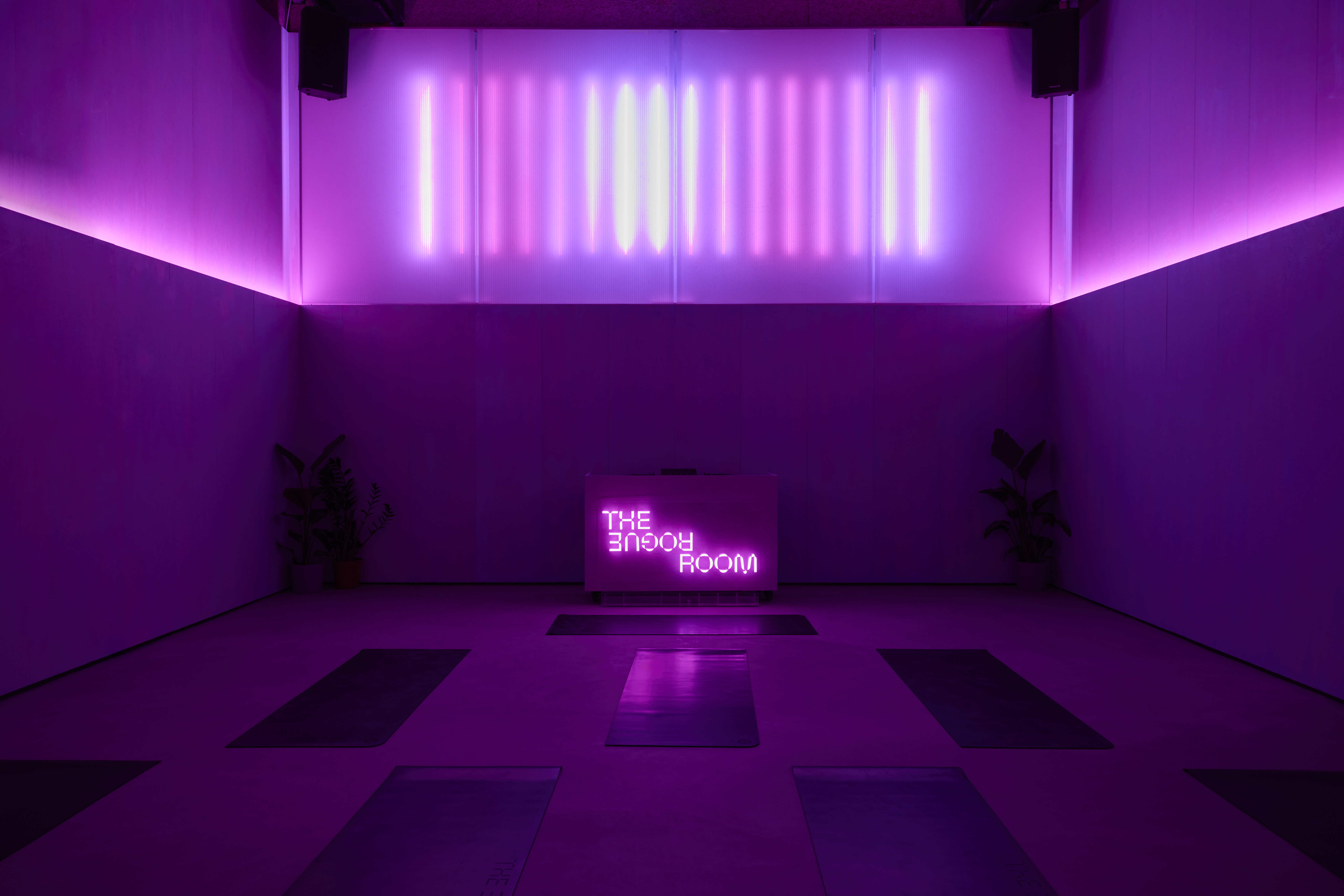 The Rogue Room, and its exterior known as &#039;the dirty house&#039;