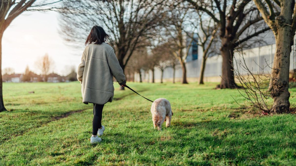 woman walking dog