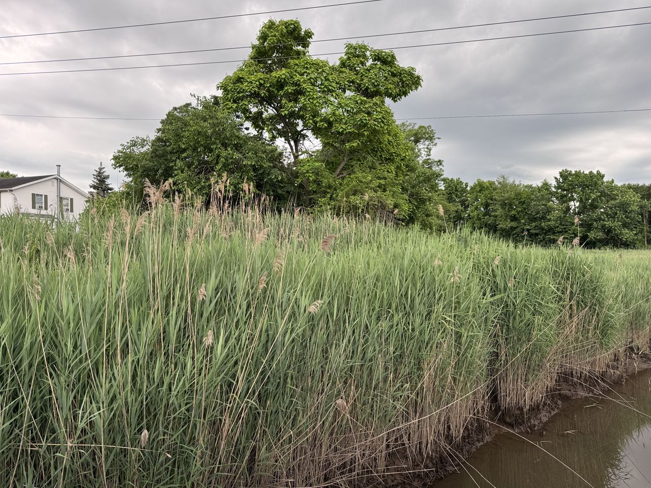 Apple iPhone 15 Pro dynamic range sample.