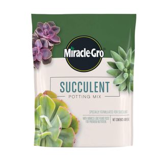 Miracle-Gro Succulent Potting Mix
