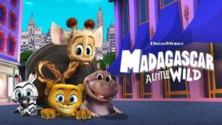 Madagascar Series