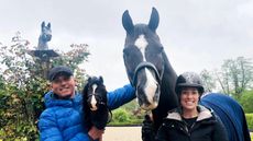 Valegro-II-auction-1.jpeg