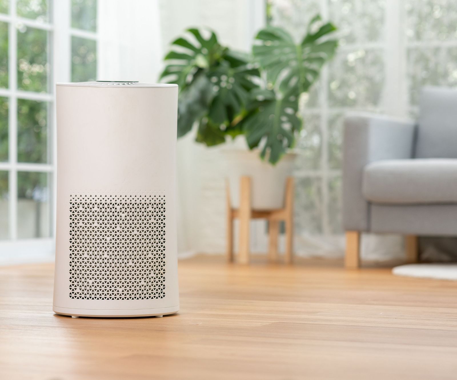 Do air purifiers help with mold? Homes & Gardens