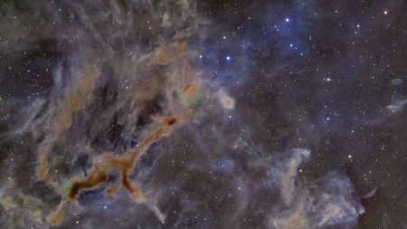 Dark knots of interstellar dust are pictured blocking the light of more distant stars in a deep-space image. A knot of material to the lower left appears to take the form of a giraffe running left to right against the starfield beyond.