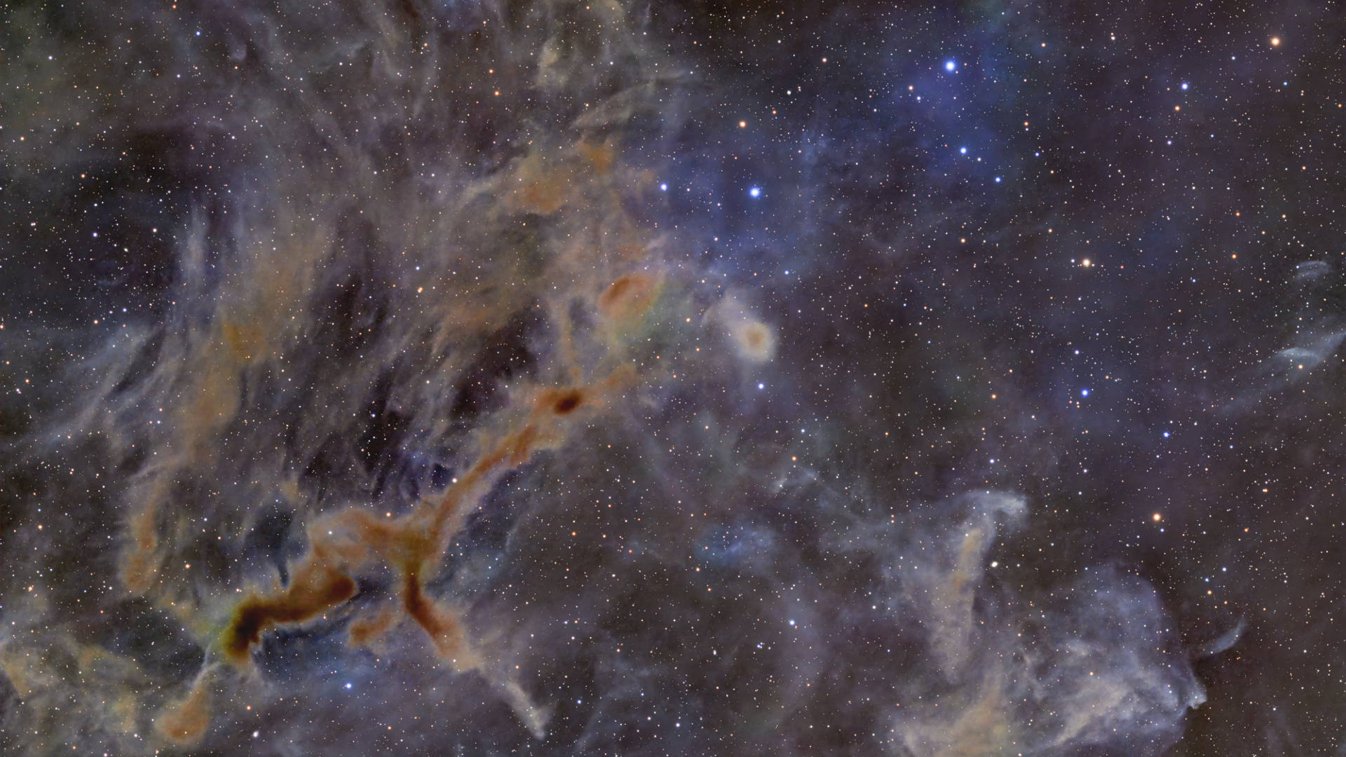Dark knots of interstellar dust are pictured blocking the light of more distant stars in a deep-space image. A knot of material to the lower left appears to take the form of a giraffe running left to right against the starfield beyond.