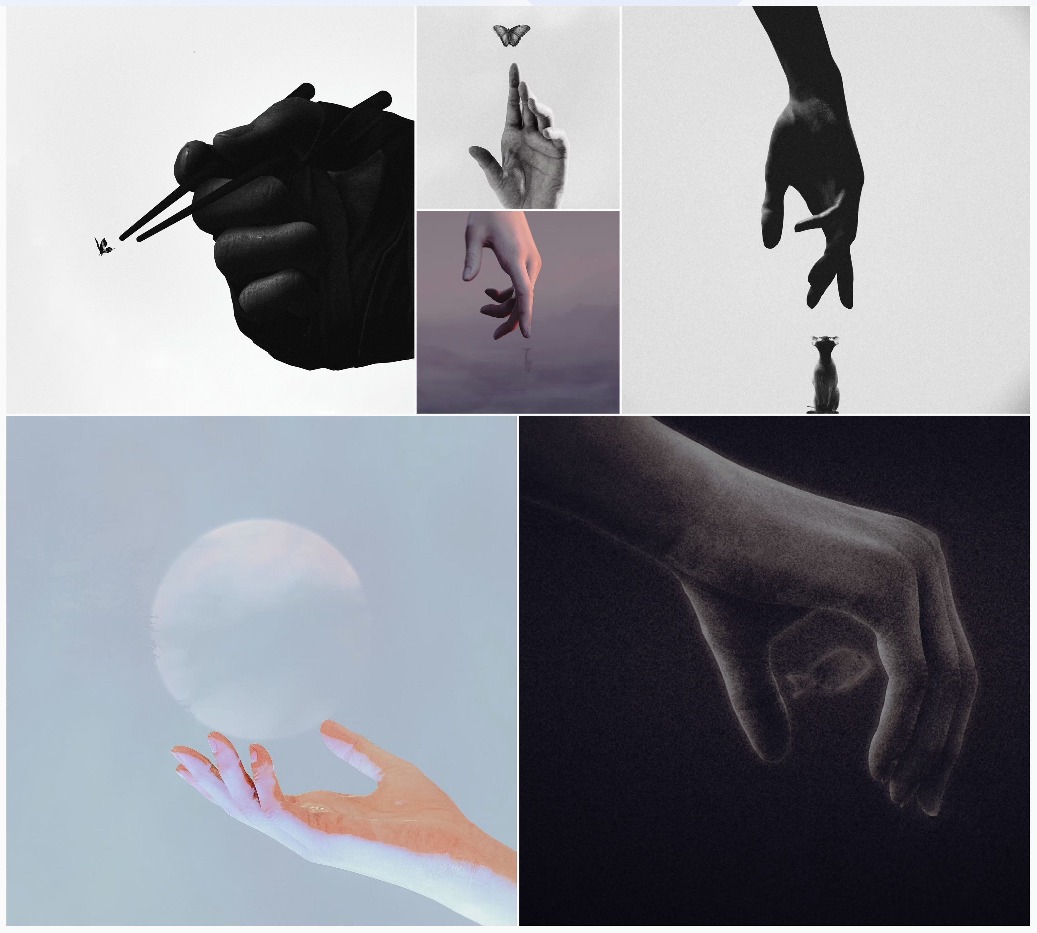 The Virtual Photography Awards for 2025