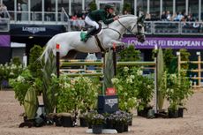 bertram allen punchestown