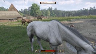 Kingdom Come Deliverance 2 Horses