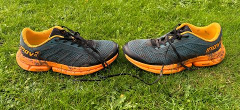 Inov-8 Trailfly Ultra G 280 trail-running shoe on grass