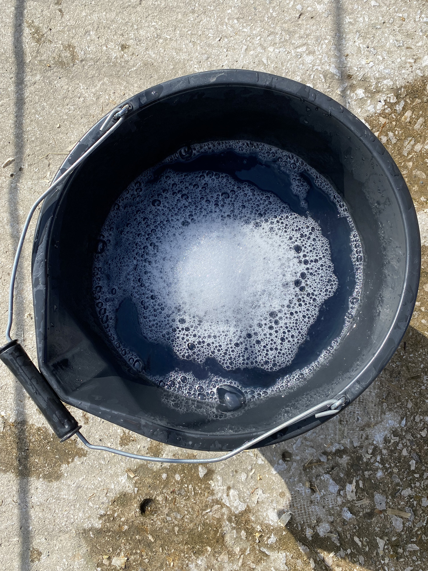 Supreme Products blue shampoo diluted in bucket