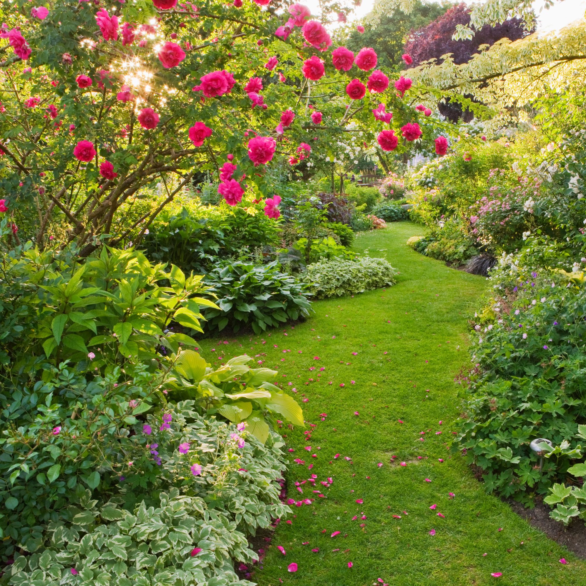 garden with grass and flower beds on both sides