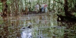 The lake scene in Stand By Me.