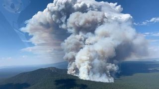 A huge plume of smoke erupts from the Bootleg wildfire in Oregon early in its development on July 17, 2021.