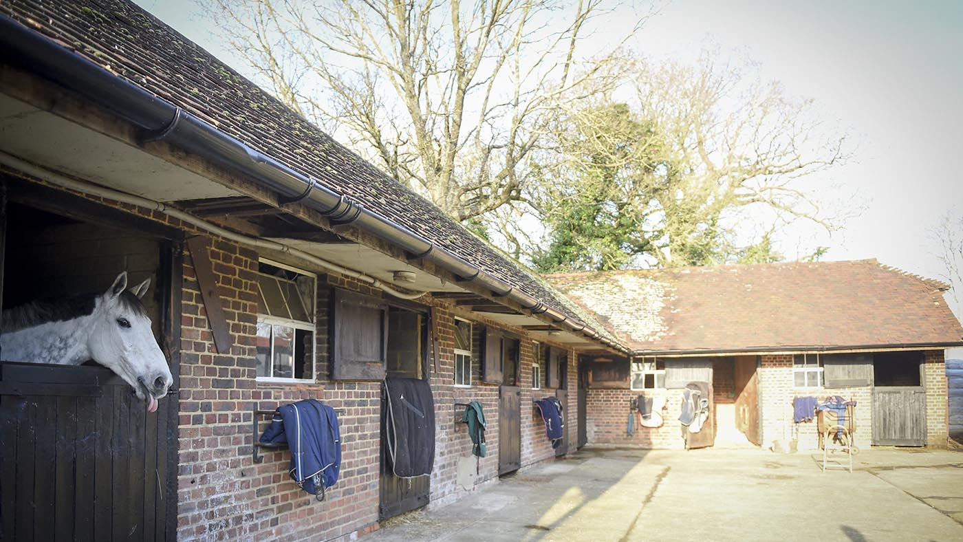 Breen Stud visit at Hickstead December 2018
