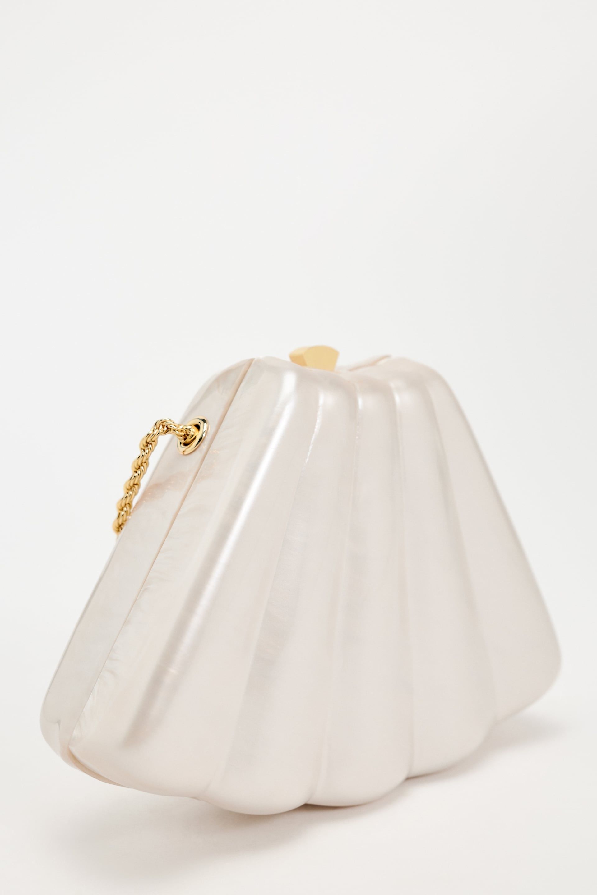 SEASHELL MINAUDIÈRE