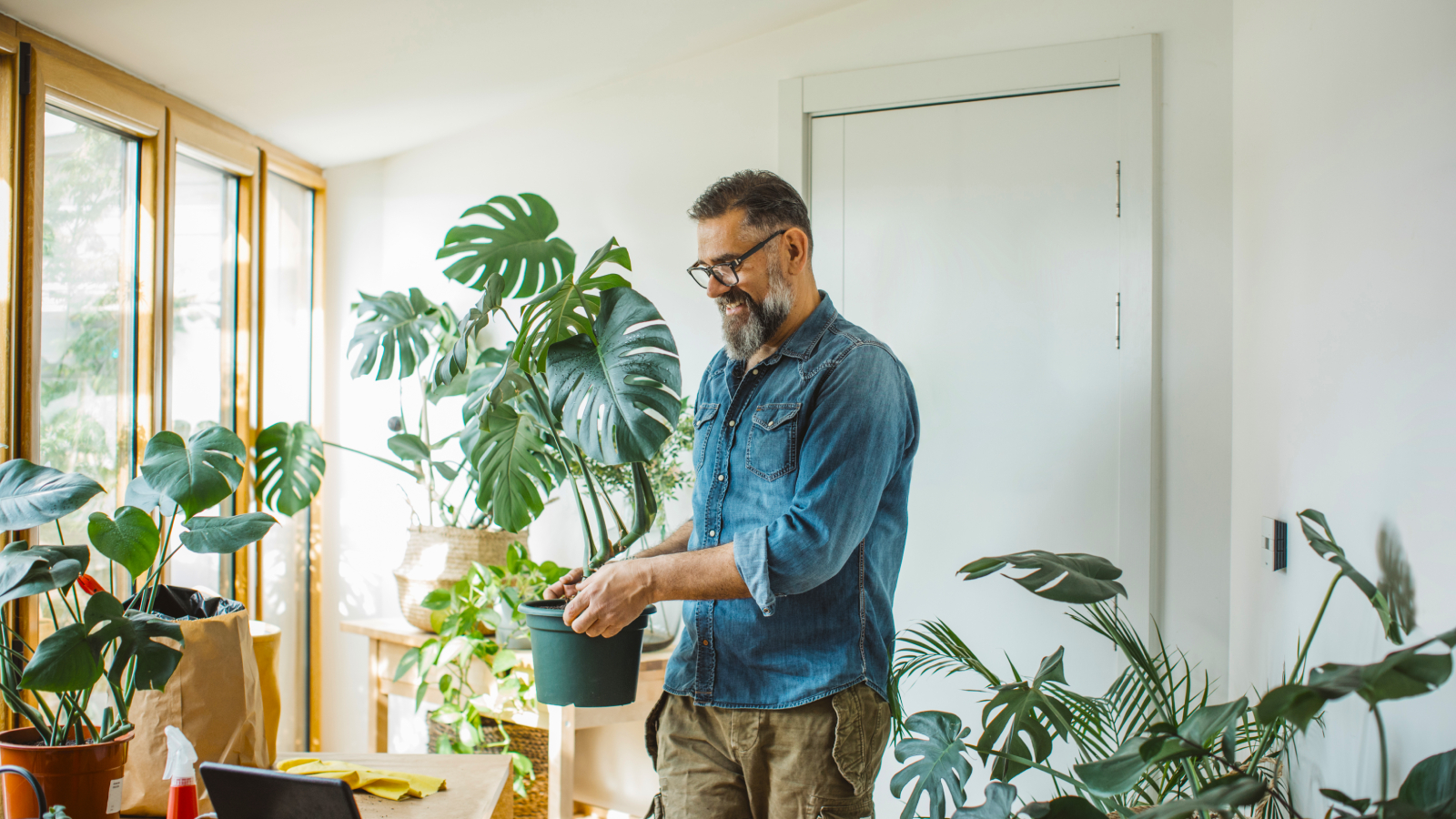 Man moving houseplant