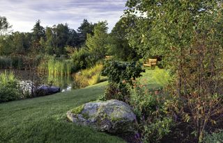 tree landscaping ideas with trees looking towards a pond with boulders in the lawn