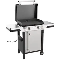 Blackstone ProSeries 2-Burner 22" Propane Omnivore Griddle