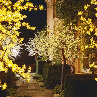 Garden with pathway lined by lit up trees