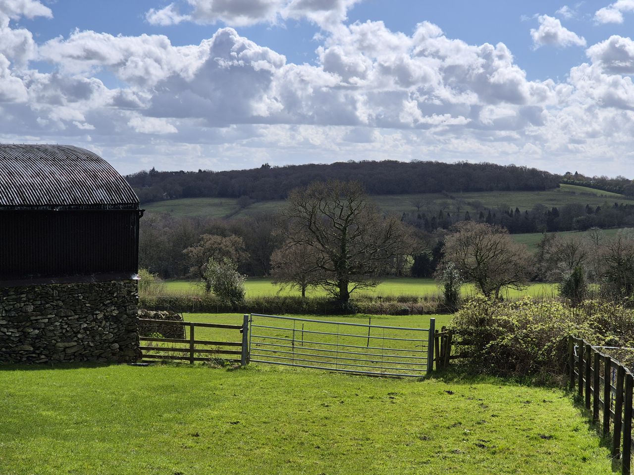 A green field in sunshine