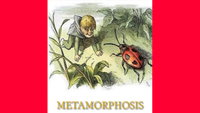 The Metamorphosis By Franz Kafka (1915)