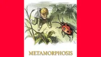The Metamorphosis By Franz Kafka (1915)
