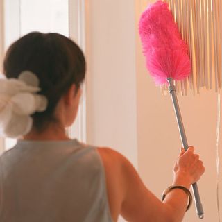 lady with cleaning brush