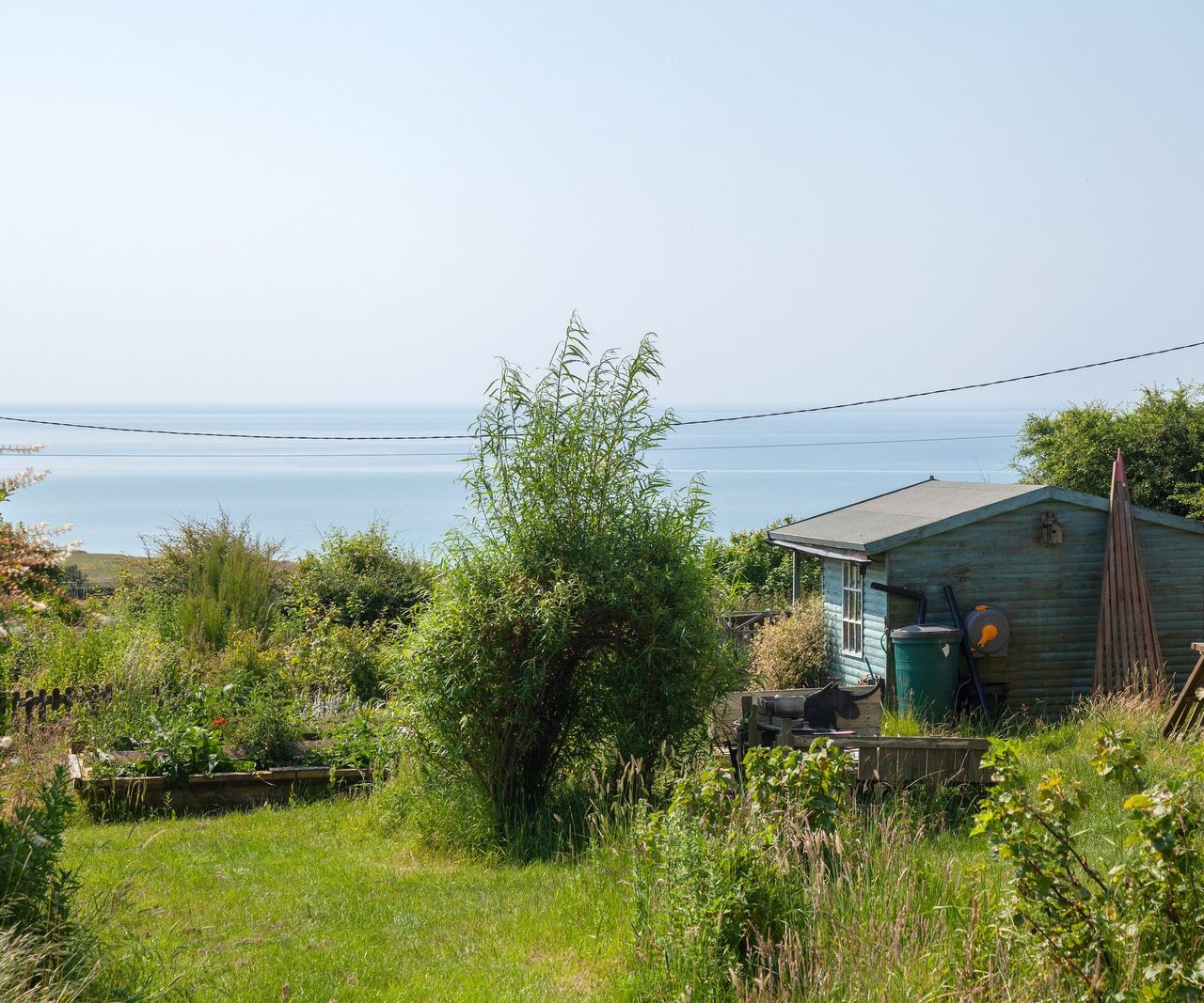 A seaside view from a garden