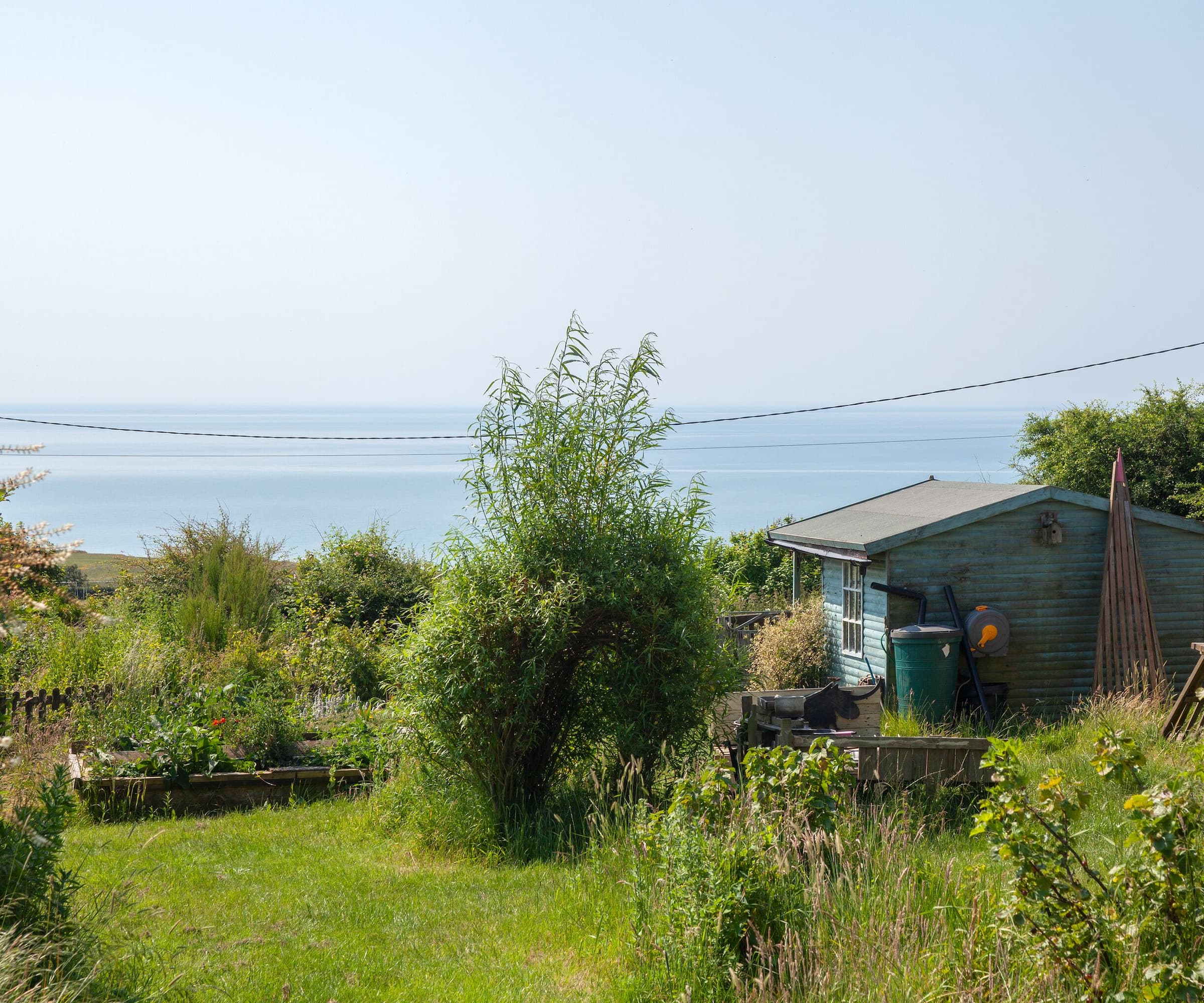 A seaside view from a garden