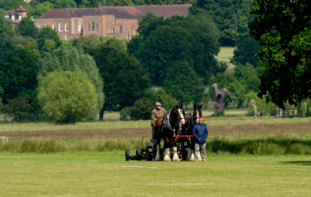 2015 "Ham Polo Club." " The re-emergence of Polo in Richmond Park".