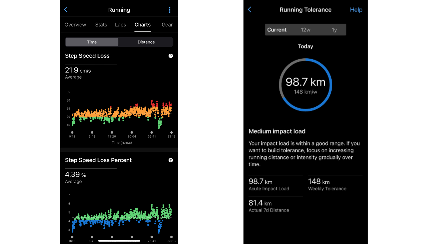 Garmin running stats