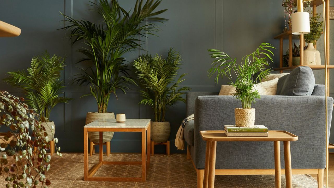 Dormy House interiors