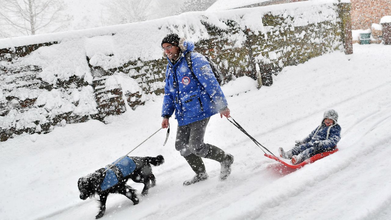 Beast from the East